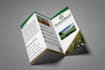 design modern bifold and trifold brochure design