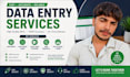 do fast and accurate data entry, web search