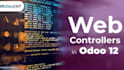 develop and customize odoo modules, erp systems and business automation solution