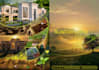 design a professional brochure, bifold or trifold brochure