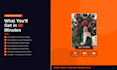 provide gohighlevel training, consultation, and ghl automation setup