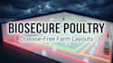 design a biosecure poultry facility and chicken layout