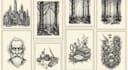 create pen and ink illustrations