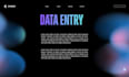 accurate data entry and typing work