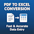 convert PDF to excel accurately in 24h