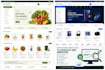 do shopify SEO optimization for your online store