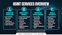 do professional osint investigation, data analysis, and due diligence