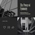 design canva social media posts for instagram and facebook