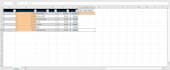 create excel spreadsheets for data entry, reports and invoice