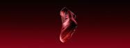 create stunning 3d motion graphic animations