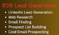 provide cold email prospecting and b2b leads generation