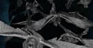 create vfx compositing, fire, smoke, horror vfx, cgi integration for your video
