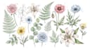 paint watercolor flowers and botanical illustrations