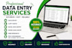 data entry, copy paste and excel data entry