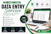 do accurate data entry, copy paste, excel data entry and typing