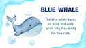 create educational canva videos for kids
