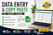 do data entry and copy paste work