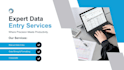 do data entry, excel data entry, copywriting, transcription