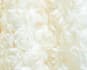 source 3d fabrics, textured fabrics, and embroidered mesh