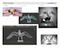 do 3d sculpting  3d print file preparation services