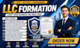 provide professional llc formation and business registration