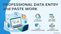 do professional data entry and paste work