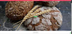 build a responsive website using HTML CSS and javascript