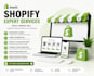do shopify website design, development and store expert