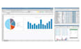 excel data entry and reporting