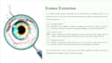 create professional powerpoint presentations and google slides