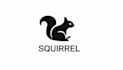design outstanding squirrel mascot logo in one day