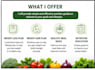 provide a personalized meal plan and nutrition coaching