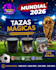 do a poster promotional design
