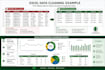 clean, format and organize your excel data professionally