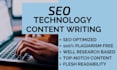 be your technical SEO content writer and saas writer