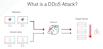 wordpress website, ddos attack, hack website, hack attack, malware attack, ss7