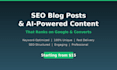 write SEO blog posts and ai powered content that converts