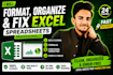 format, organize and fix excel spreadsheets professionally