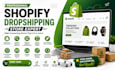 build a shopify dropshipping store