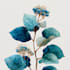 illustrate best botanical illustration