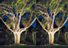 edit a photo by retouch