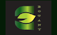 design professional business logo