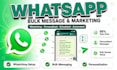setup whatchimp whatsapp bulk message sender whatsapp campaign whatchimp blast