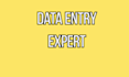 do PDF to word typing and excel data entry