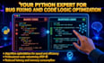 fix bugs and professionally optimize ai generated python code