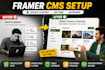 set up framer cms for blog, portfolio and dynamic content