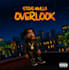 do cartoon motion art, animate cartoon album cover