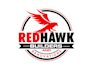 design a bold and powerful hawk logo