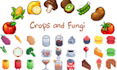 do pixel art icon, skill icon, 2d game asset pixel props pixel vfx animations