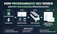 build a programmatic SEO website with dynamic landing pages